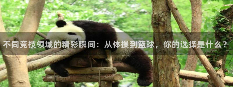 杏悦2平台官网：不同竞技领域的精彩瞬间：从体操到篮球，你的选择是什么？