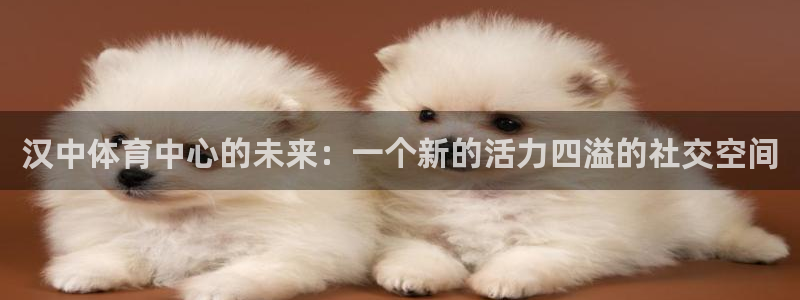 杏悦2代理注册链接：汉中体育中心的未来：一个新的活力四溢的社交空间