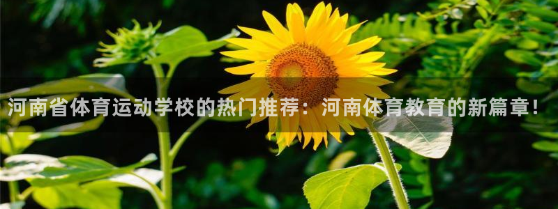 杏悦2体育合法嘛：河南省体育运动学校的热门推荐：河南体育教育的新篇章！