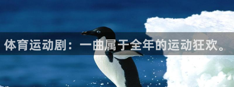 杏悦2体育代理申请流程：体育运动剧：一曲属于全年的运动狂欢。