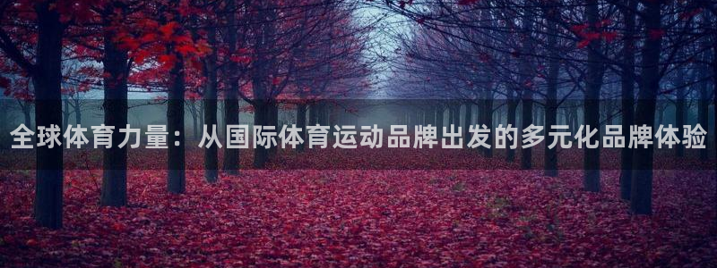 杏悦2体育热门赛事有哪些：全球体育力量：从国际体育运动品牌出发的多元化品牌体验