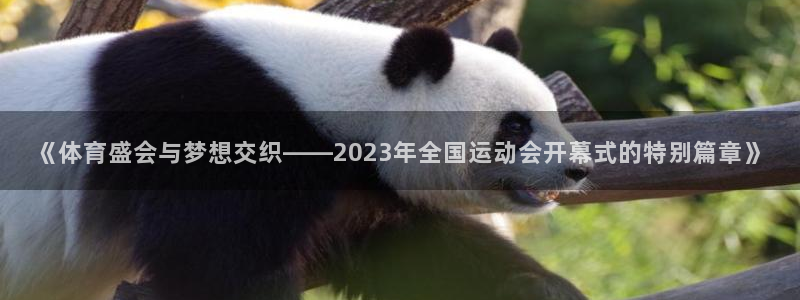 杏悦2集团官网：《体育盛会与梦想交织——2023年全国运动会开幕式的特别篇章》