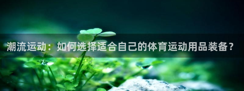 杏悦2体育1招商：潮流运动：如何选择适合自己的体育运动用品装备？