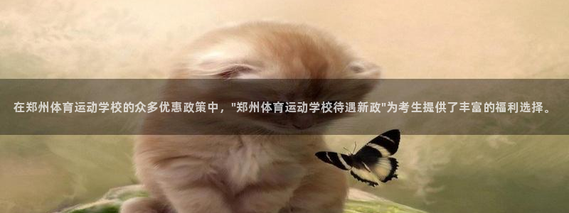 杏悦2体育f开户：在郑州体育运动学校的众多优惠政策中，\