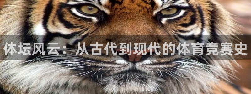 杏悦23登录：体坛风云：从古代到现代的体育竞赛史