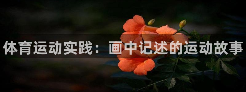 杏悦2体育2：体育运动实践：画中记述的运动故事