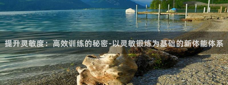 杏悦2f平台注册：提升灵敏度：高效训练的秘密-以灵敏锻炼为基础的新体能体系