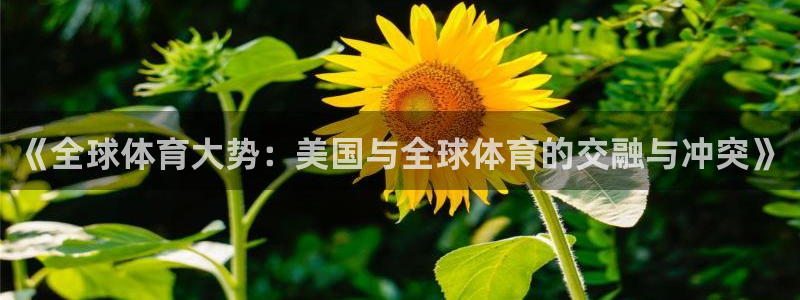 杏悦2体育2官网入口：《全球体育大势：美国与全球体育的交融与冲突》