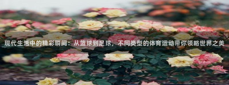 杏悦2体育平台登录入口：现代生活中的精彩瞬间：从篮球到足球，不同类型的体育运动带你领略世界之美