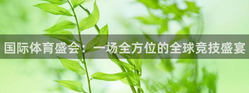 杏悦2体育免费注册入口：国际体育盛会：一场全方位的全球竞技盛宴