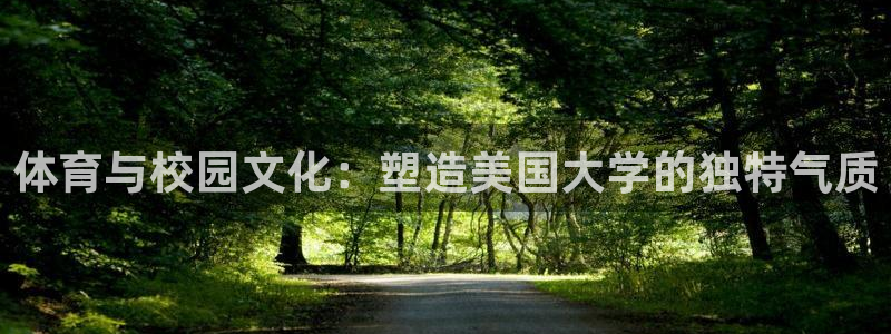杏悦24代理：体育与校园文化：塑造美国大学的独特气质