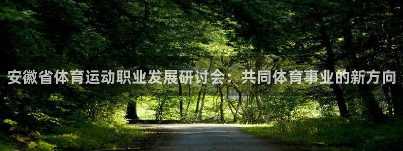 杏悦2体育热门赛事有哪些：安徽省体育运动职业发展研讨会：共同体育事业的新方向