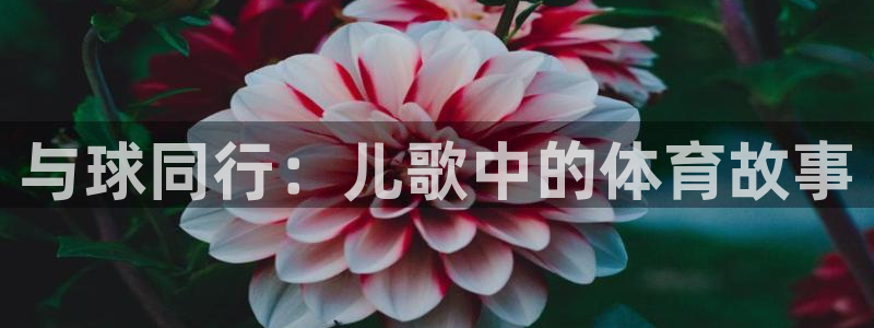杏悦2官网入口：与球同行：儿歌中的体育故事