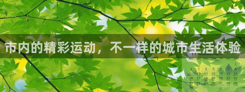 杏悦24开户：市内的精彩运动，不一样的城市生活体验