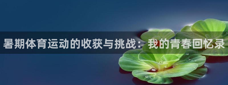 杏悦2集团总部：暑期体育运动的收获与挑战：我的青春回忆录