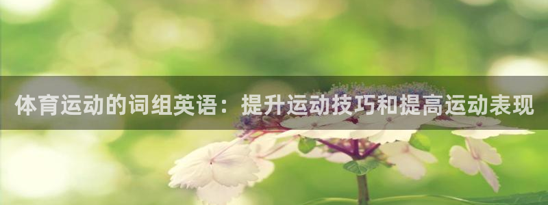 杏悦2平台注册：体育运动的词组英语：提升运动技巧和提高运动表现