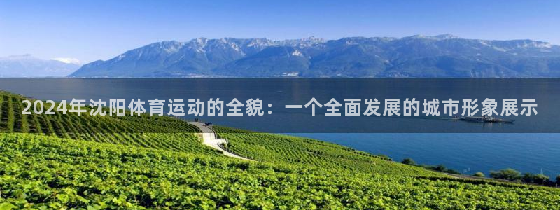 东莞市杏悦2电子科技有限公司：2024年沈阳体育运动的全貌：一个全面发展的城市形