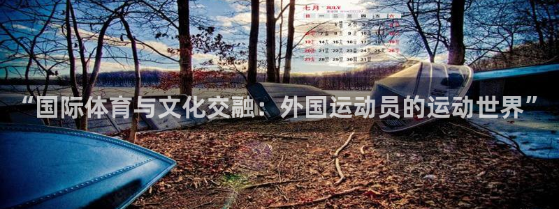 杏悦2代理注册链接：“国际体育与文化交融：外国运动员的运动世界”