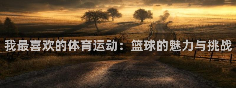 杏悦2体育凯捷平台招商：我最喜欢的体育运动：篮球的魅力与挑战