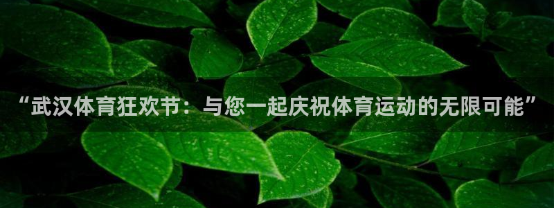杏悦2体育凯捷平台招商：“武汉体育狂欢节：与您一起庆祝体育运动的无限可能”
