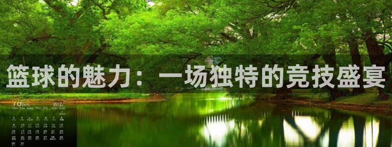 杏悦24平台：篮球的魅力：一场独特的竞技盛宴