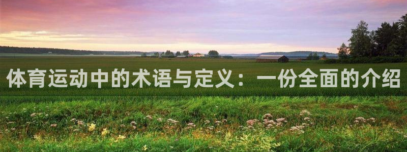 杏悦2平台官网：体育运动中的术语与定义：一份全面的介绍
